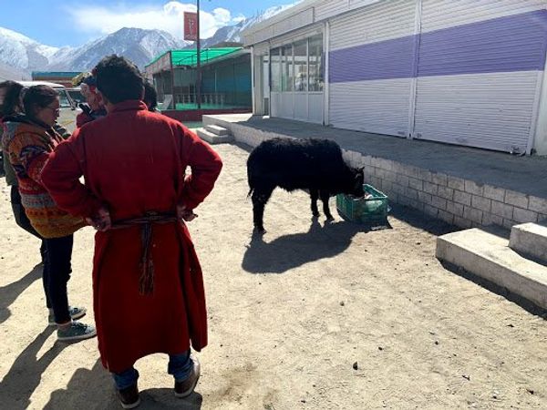 インド・デリー「20181020_ インド ラダック」の写真