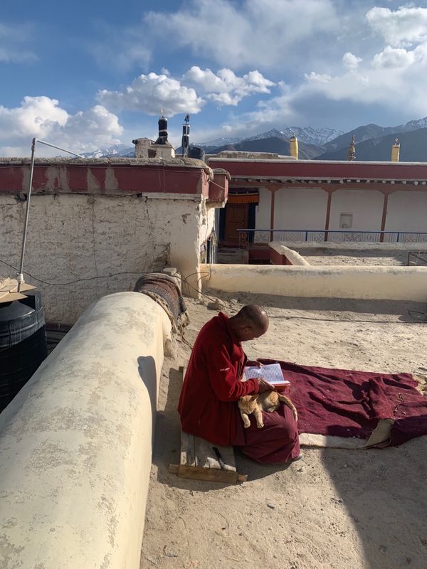 インド・デリー「20181020_ インド ラダック」の写真