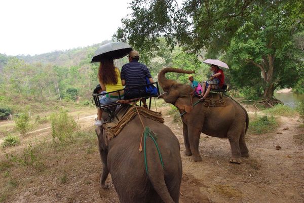 タイ・チェンマイ「20130429_タイ チェンマイ」の写真