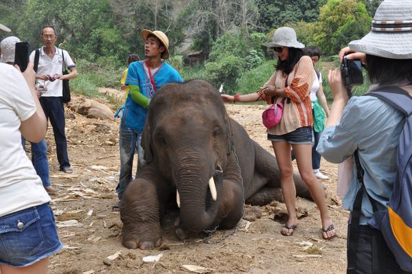 タイ・チェンマイ「20130429_タイ チェンマイ」の写真