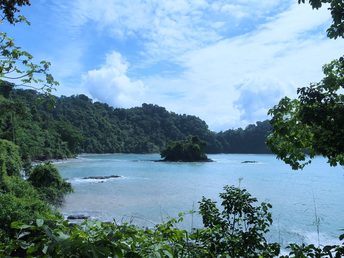 マヌエルアントニオ国立公園
海沿いにあるこの公園は、野生動物がいっぱい。
...