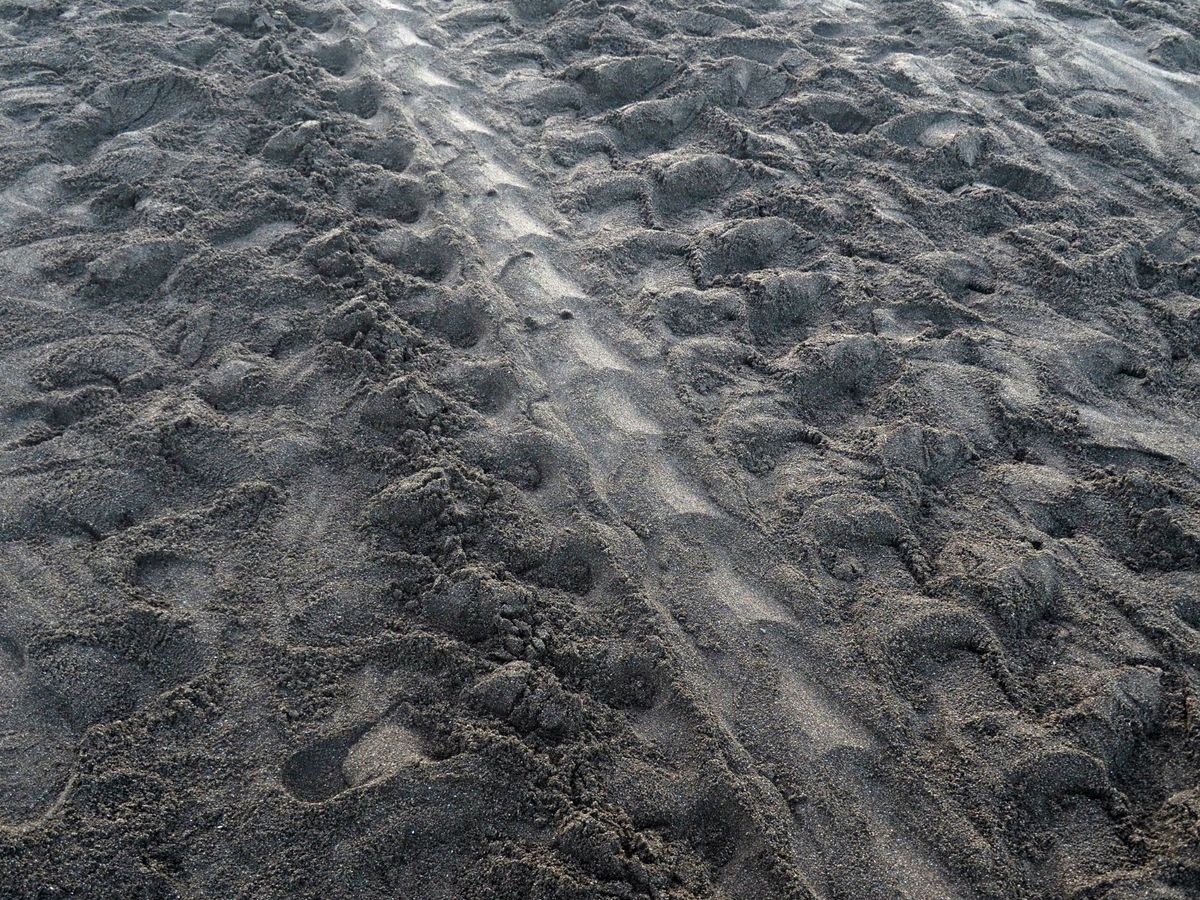 オスティオナル
オスティナルはコスタリカ北西部の半島にある小さな街、ここに...