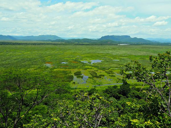 コスタリカ・サンホセ「コスタリカ 魅惑の動物王国をドライブ旅行🐸」の写真：パロベルデ国立公園
コスタリカ北西部にあ...