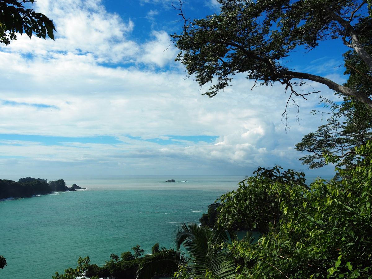 マヌエルアントニオ国立公園
海沿いにあるこの公園は、野生動物がいっぱい。
...