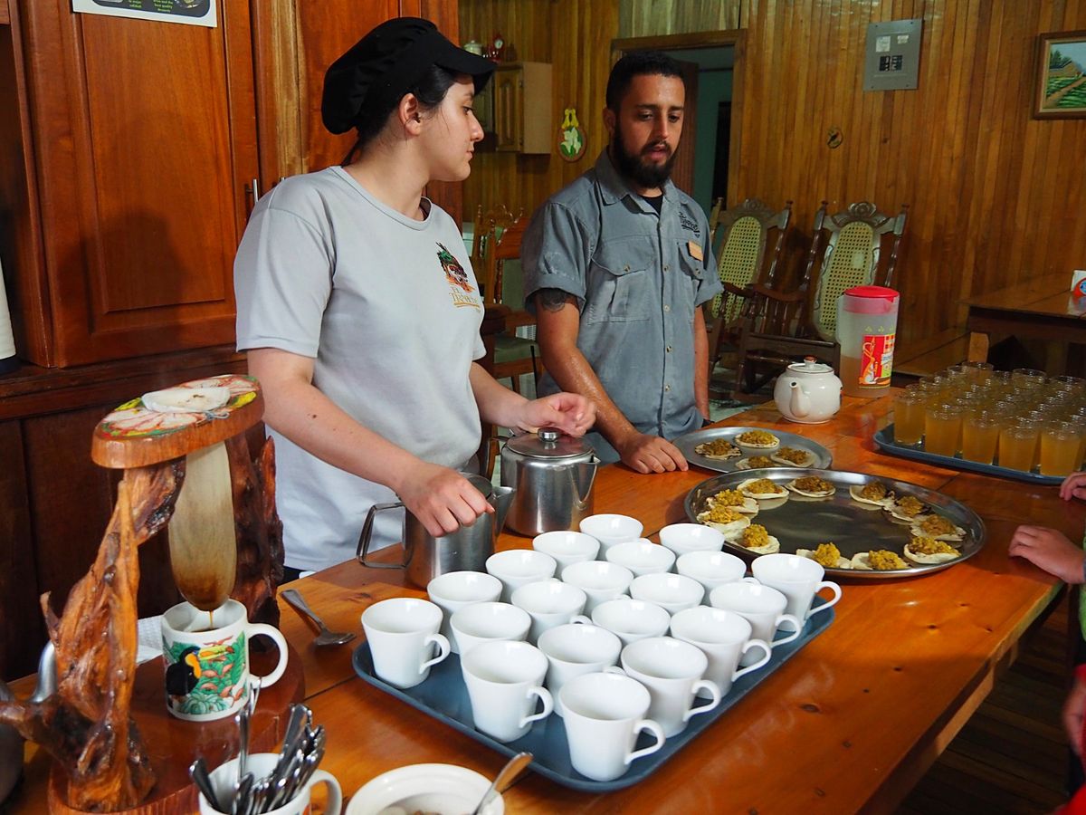 モンテベルデ　コーヒー農園
モンテベルデはコーヒーの産地としても有名で、た...