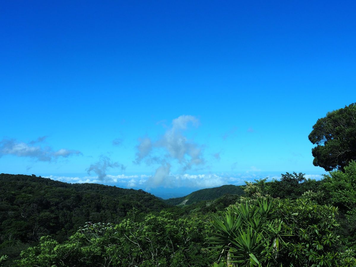モンテベルデ
コスタリカの中央に位置するモンテベルデは、森林浴の気持ちいい...