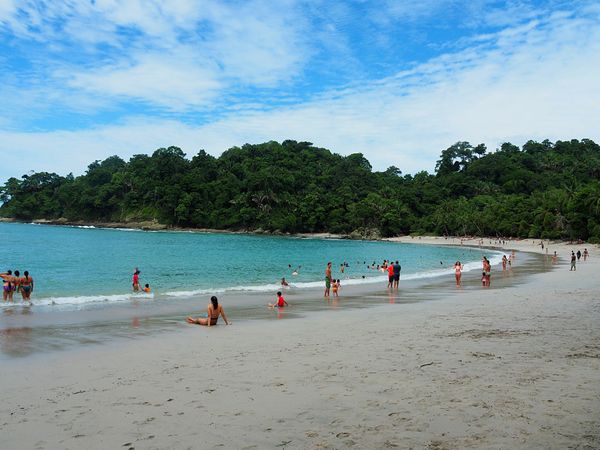 コスタリカ・サンホセ「コスタリカ 魅惑の動物王国をドライブ旅行🐸」の写真：マヌエルアントニオ国立公園
海沿いにある...