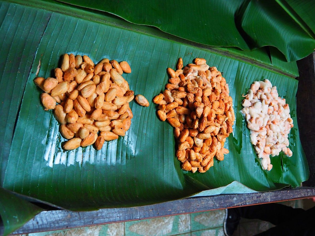 モンテベルデ　コーヒー農園
モンテベルデはコーヒーの産地としても有名で、た...