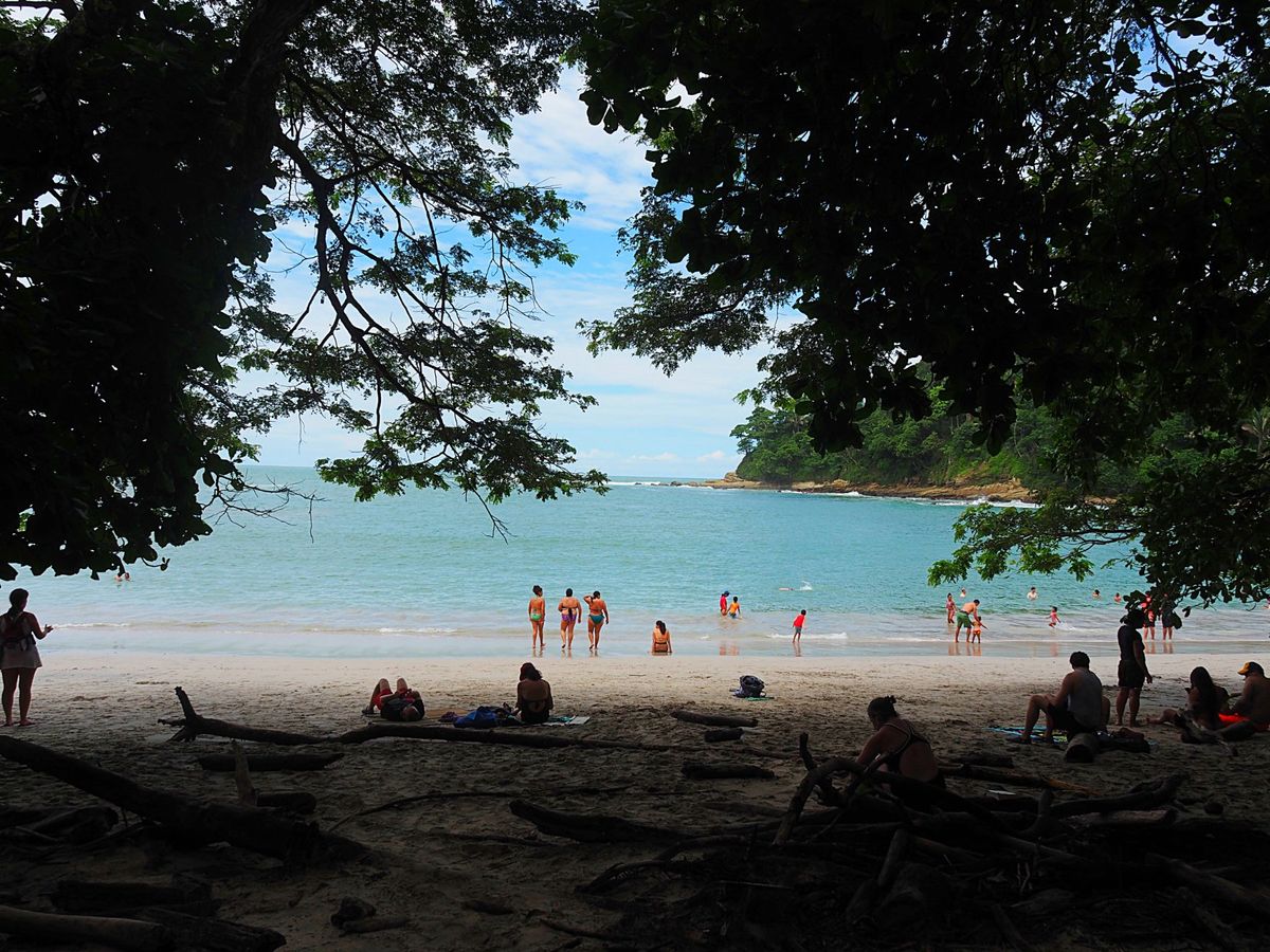 マヌエルアントニオ国立公園
海沿いにあるこの公園は、野生動物がいっぱい。
...