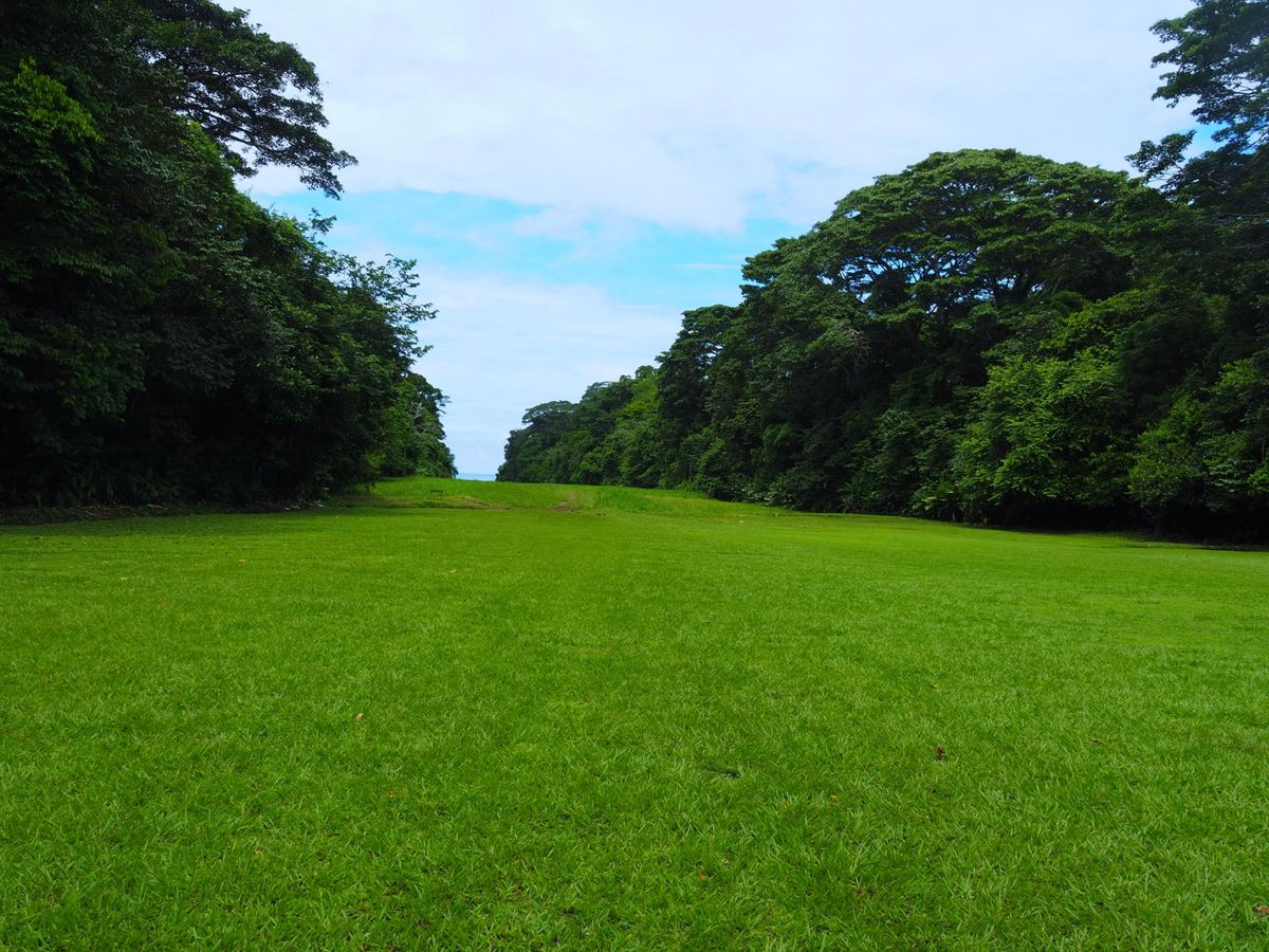 コルコバード国立公園
動物たちだけじゃなく虫たちもたくさんいますが、一番印...
