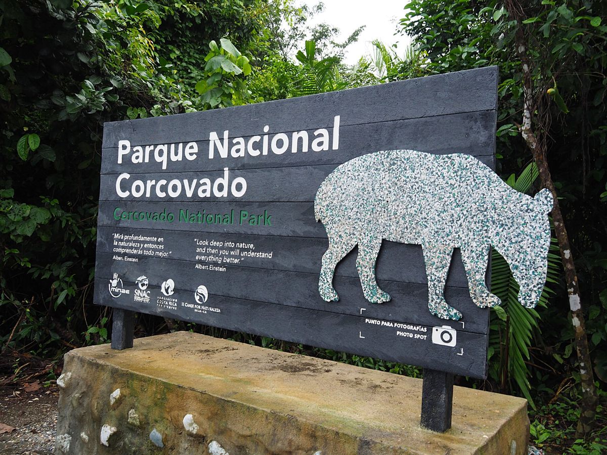 コルコバード国立公園
公園内で一番多くいる動物はアナグマ、中型犬くらいの大...