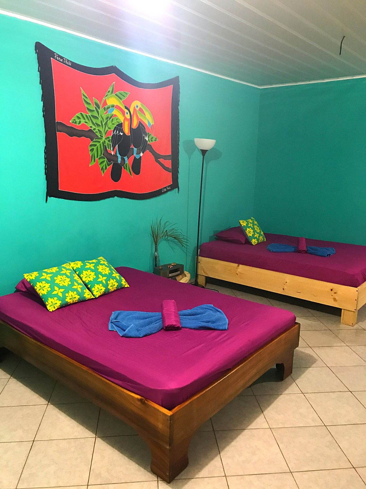 マヌエルアントニオ国立公園
国立公園はケポスの街からすぐそこ。
ホテルはこ...