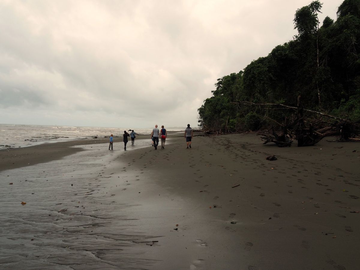 コルコバード国立公園
夢を食べるでおなじみのバクもここにいます。
夜行性な...
