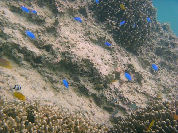 日本・沖縄「20120423_沖縄 那覇」の写真