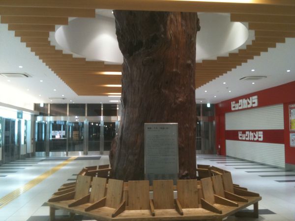 日本・鹿児島「20110120_種子島宇宙センターと屋久島」の写真