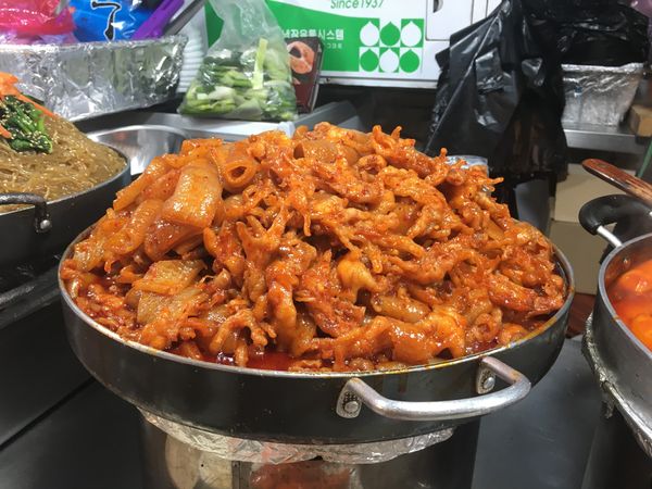 大韓民国 (韓国)・ソウル「🇰🇷韓国2019」の写真