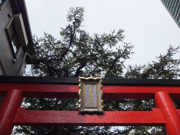 日本・秋津「静岡♡山梨」の写真