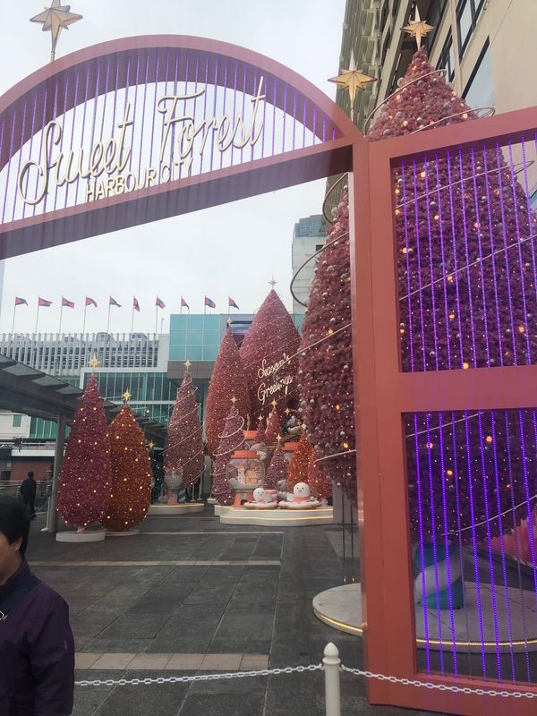 香港・九龍半島「香港・澳門」の写真：クリスマスシーズンでした。　　ご飯が凄く...