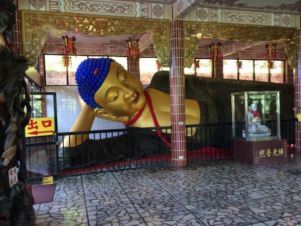 台湾・台北「台北5日間の旅」の写真