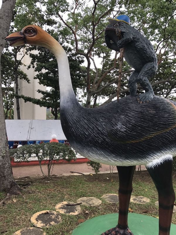 シンガポール・ブギス「シンガポール 天国と地獄の旅」の写真