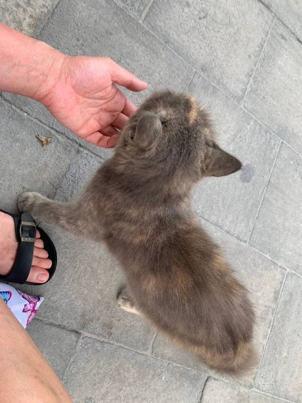 モルディブ・マーレ「モルディブ夢の旅」の写真