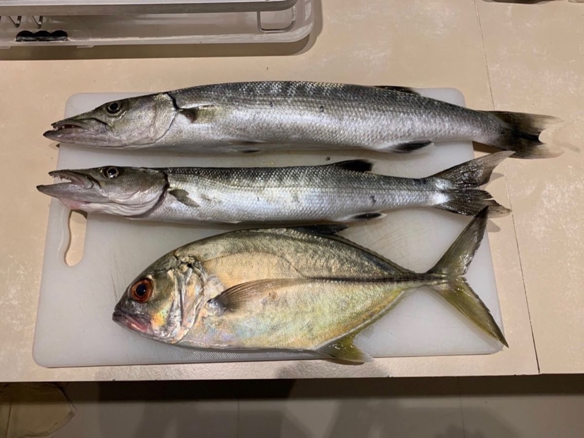 早朝5時に出発して朝日眺めながらの釣り
ガイドさんは地元の釣りマニアのおい...