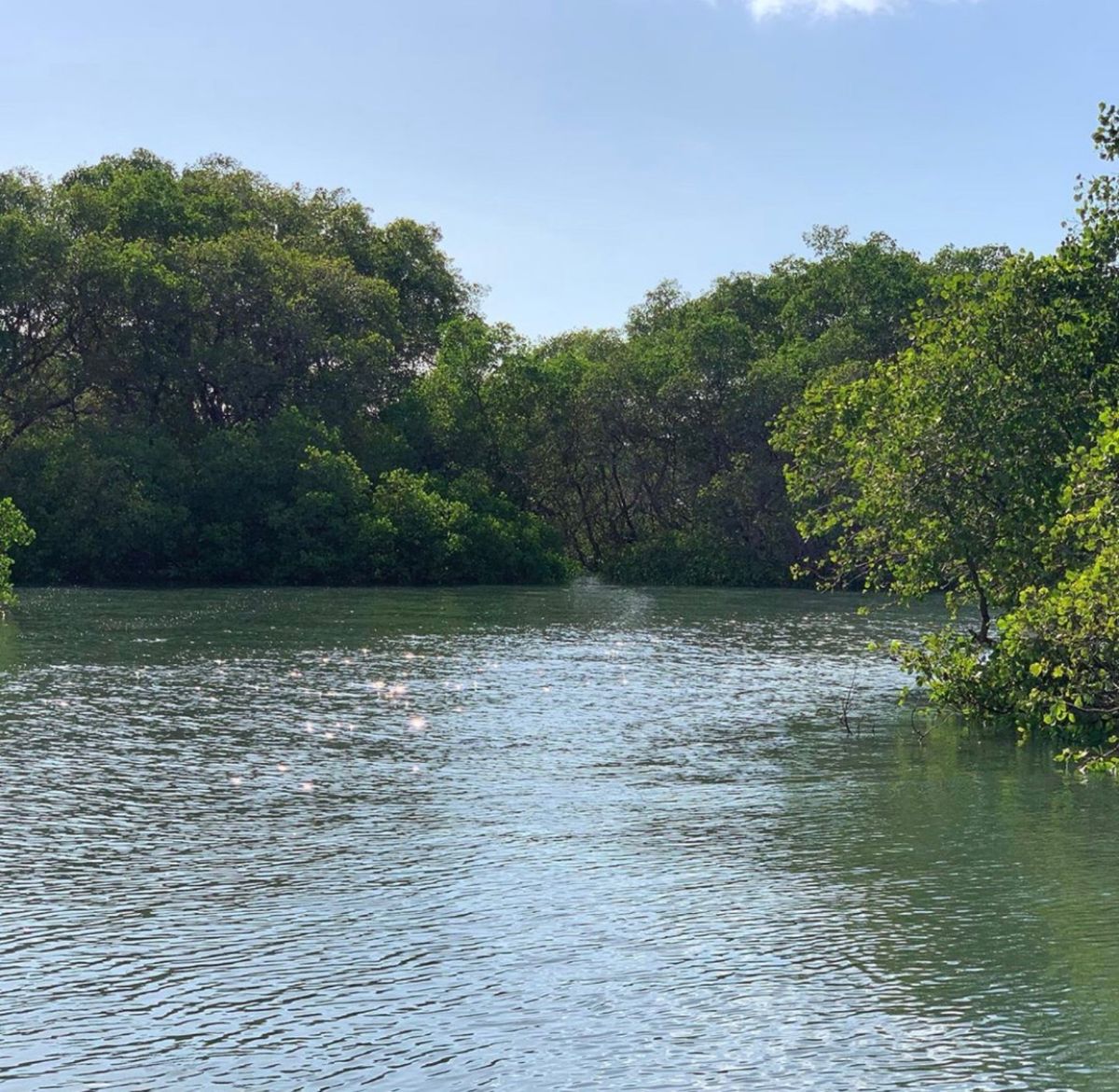 早朝5時に出発して朝日眺めながらの釣り
ガイドさんは地元の釣りマニアのおい...