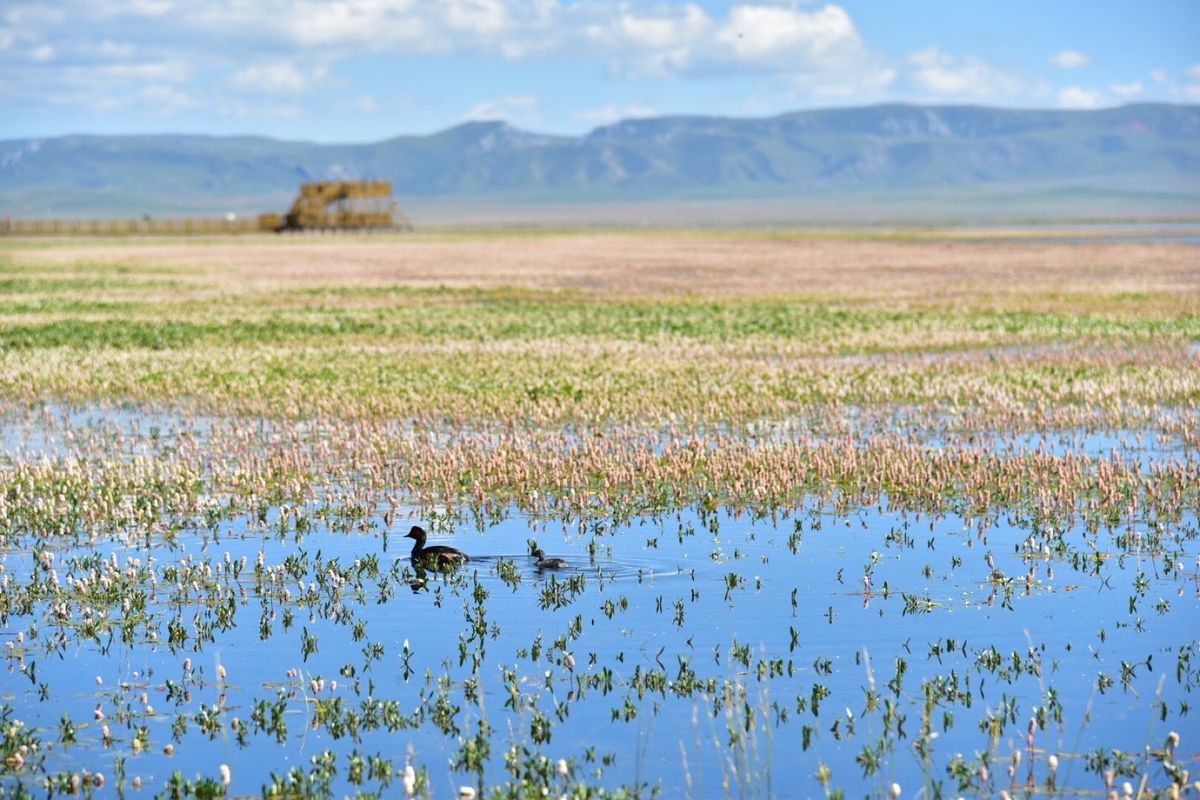 甘粛省の省都から車をチャーターし、中国の秘境へ。道が悪く移動は大変でしたが...