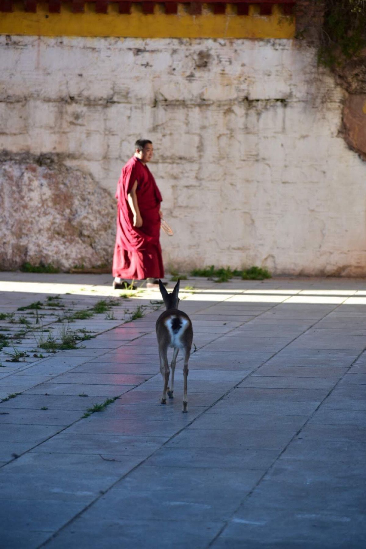 甘粛省の省都から車をチャーターし、中国の秘境へ。道が悪く移動は大変でしたが...