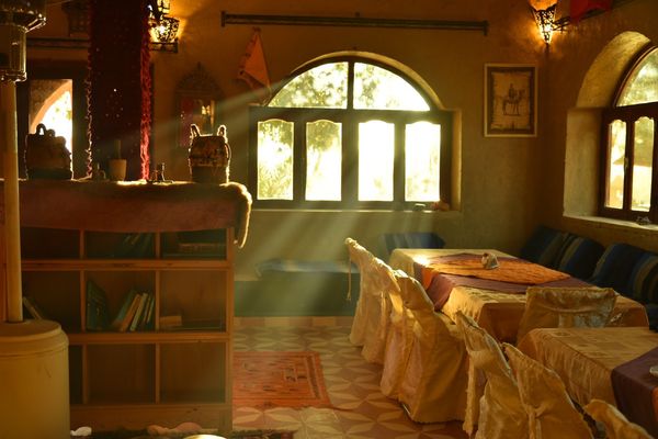 モロッコ「モロッコで一人旅」の写真：~ホテル編~
全てホテルの敷地内で撮った...