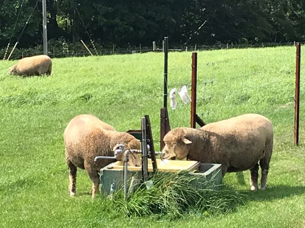 日本・北海道「残暑の札幌」の写真