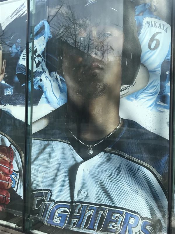 日本・北海道「ニセコスキーツアー」の写真