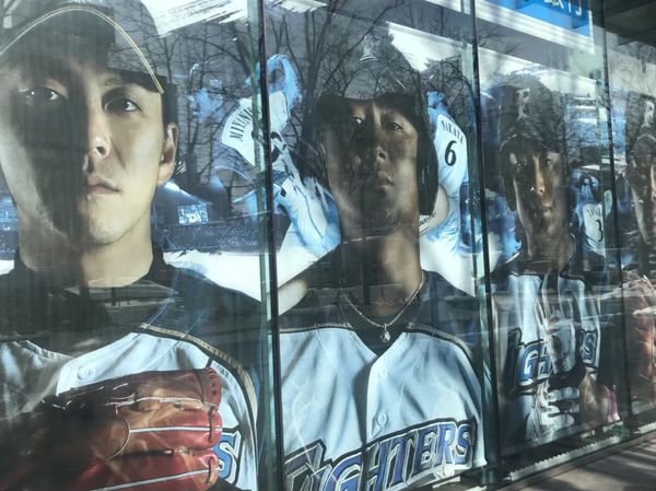 日本・北海道「ニセコスキーツアー」の写真