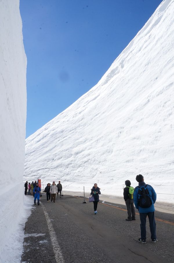 日本・岐阜県「「富山と白川郷の旅」」の写真：１〜４）雪の大谷