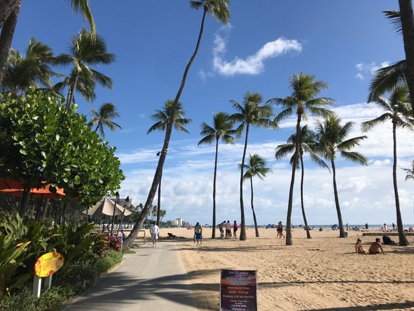 アメリカ(米国)・オアフ島「皆でカラカウア」の写真