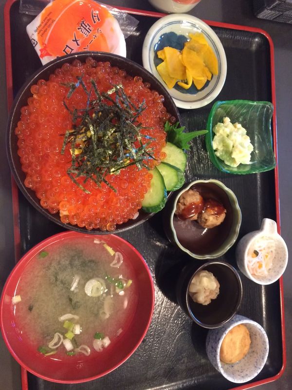 日本・北海道「初夏の札幌、よさこい祭りと野球観戦」の写真