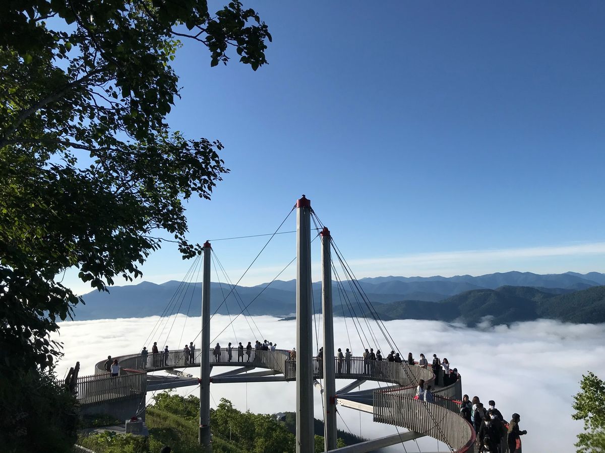 朝5時半のゴンドラに乗るために4時起き！
地上ではすごい霧だったのですが、...