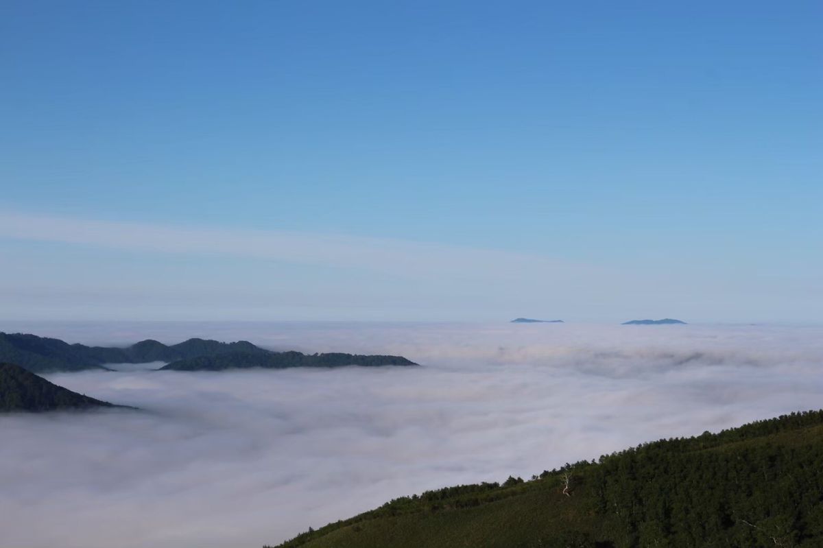 朝5時半のゴンドラに乗るために4時起き！
地上ではすごい霧だったのですが、...