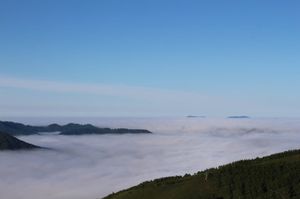 朝5時半のゴンドラに乗るために4時起き！
地上ではすごい霧だったのですが、...