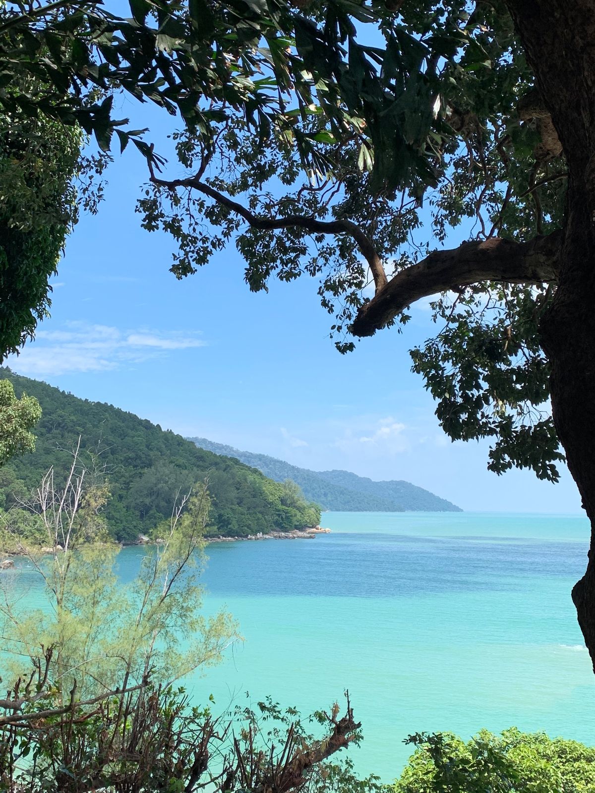 ランチを食べたレストランからの景色♡