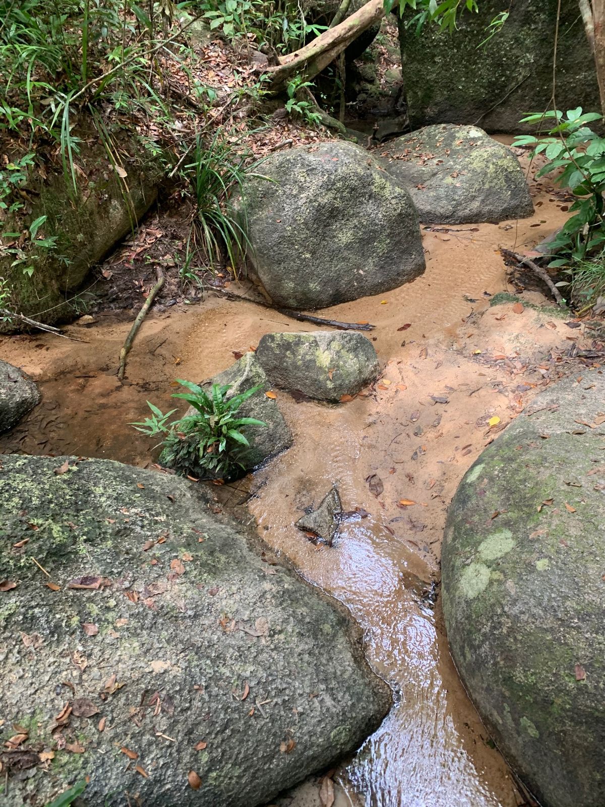 タートルビーチまでは片道約1時間30分！