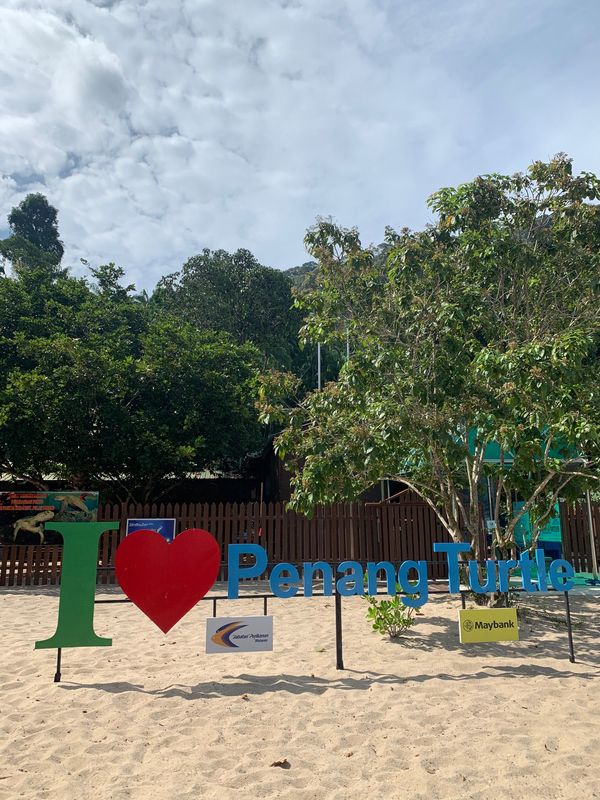 マレーシア・ペナン島「マレーシア　ペナン島」の写真：ウミガメの保護施設！