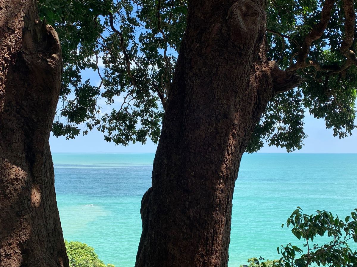 ランチを食べたレストランからの景色♡