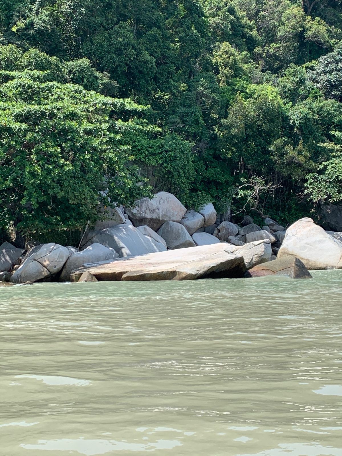 船頭さんがカメに見える岩とクロコダイルに見える岩を教えてくれました！