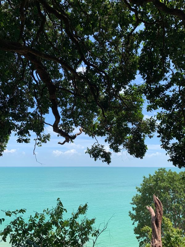 マレーシア・ペナン島「マレーシア　ペナン島」の写真：ランチを食べたレストランからの景色♡