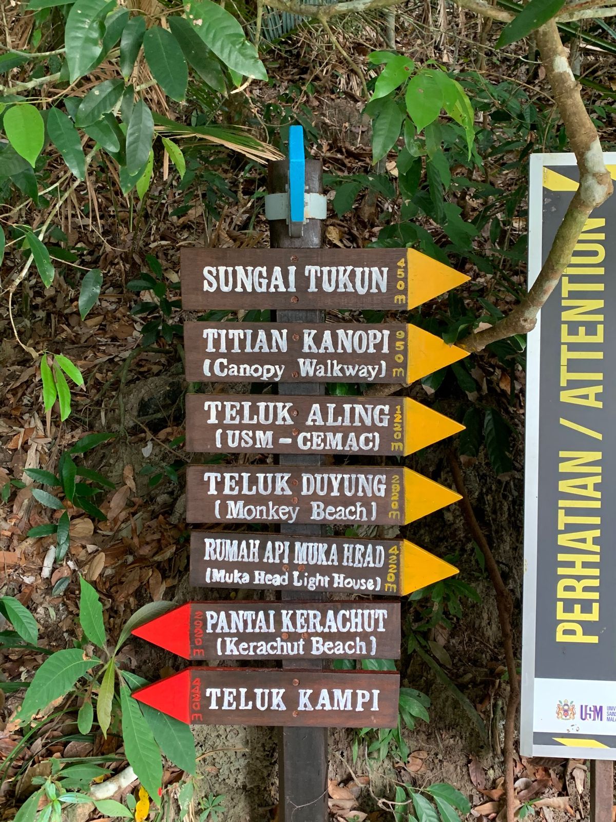 タートルビーチまでは片道約1時間30分！