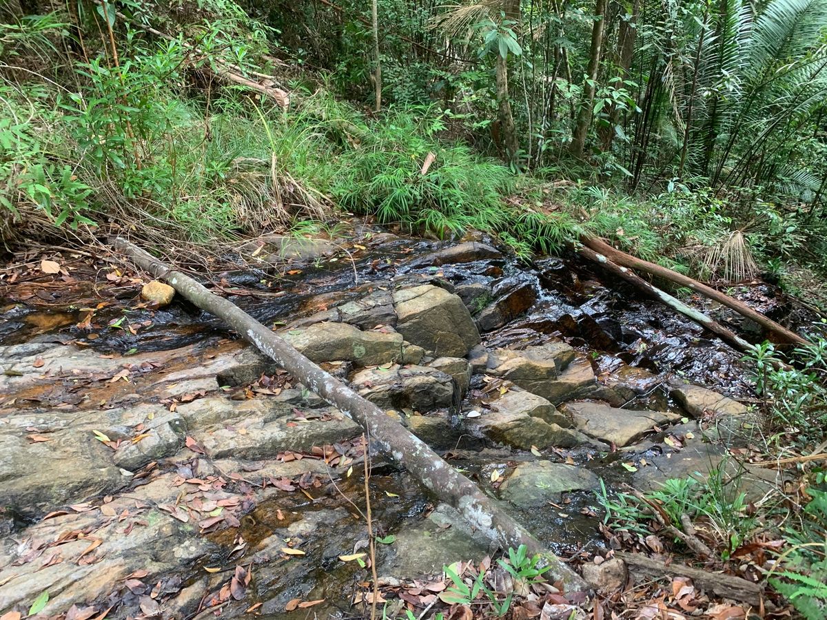 タートルビーチまでは片道約1時間30分！