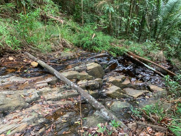 マレーシア・ペナン島「マレーシア　ペナン島」の写真：タートルビーチまでは片道約1時間30分！