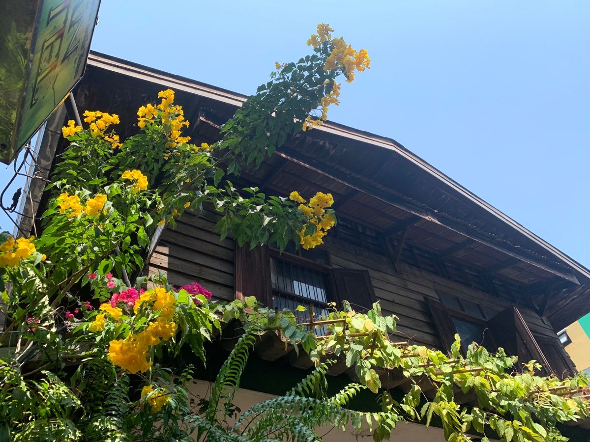 屋台メシ最高だ