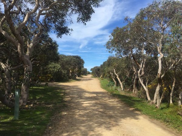 オーストラリア連邦「オーストラリア」の写真